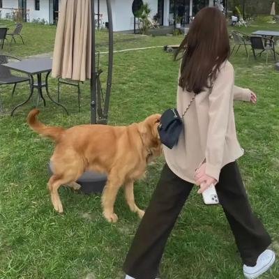 独活女子的推荐第五季
