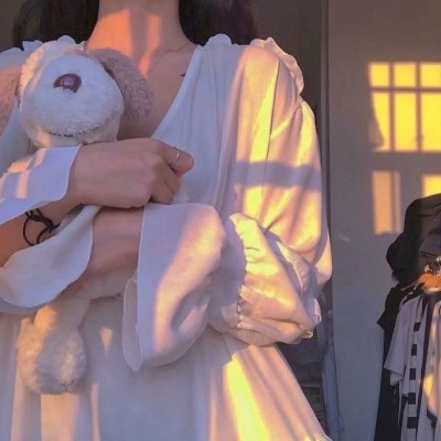 我的新野蛮女友